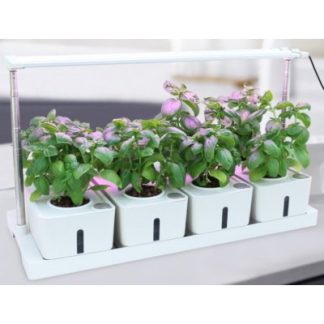 LEDlife hydroponisk plantebakke - Hvid, inkl. vækstlys, 20 pladser, 4x2L vandtank