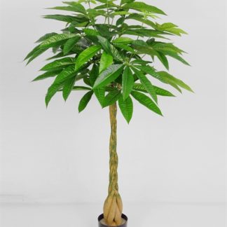 Silkeplanter kunstig Pachira træ H130 cm