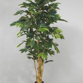 Silkeplanter kunstig kaffetræ H140 cm