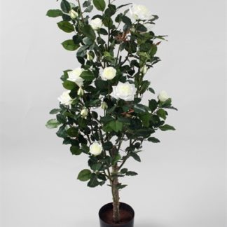 Silkeplanter kunstig rosentræ med creme blomster H120 cm
