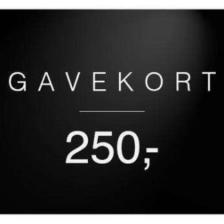 QNTS Gavekort 250 kr - 250
