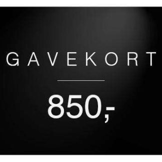 QNTS Gavekort 850 kr - 850,00 kr