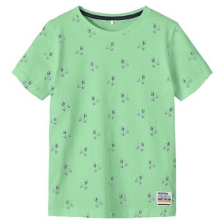 NAME IT Kortærmet T-Shirt Delvin Green Ash